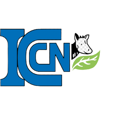 ICCN